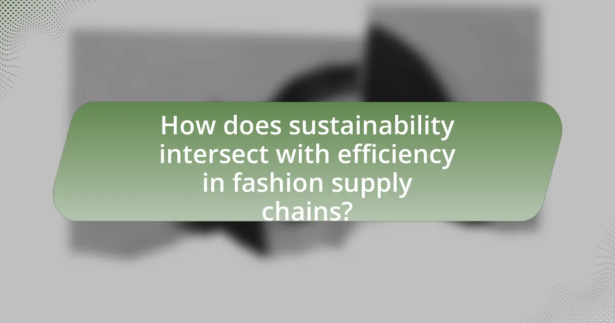 How does sustainability intersect with efficiency in fashion supply chains?