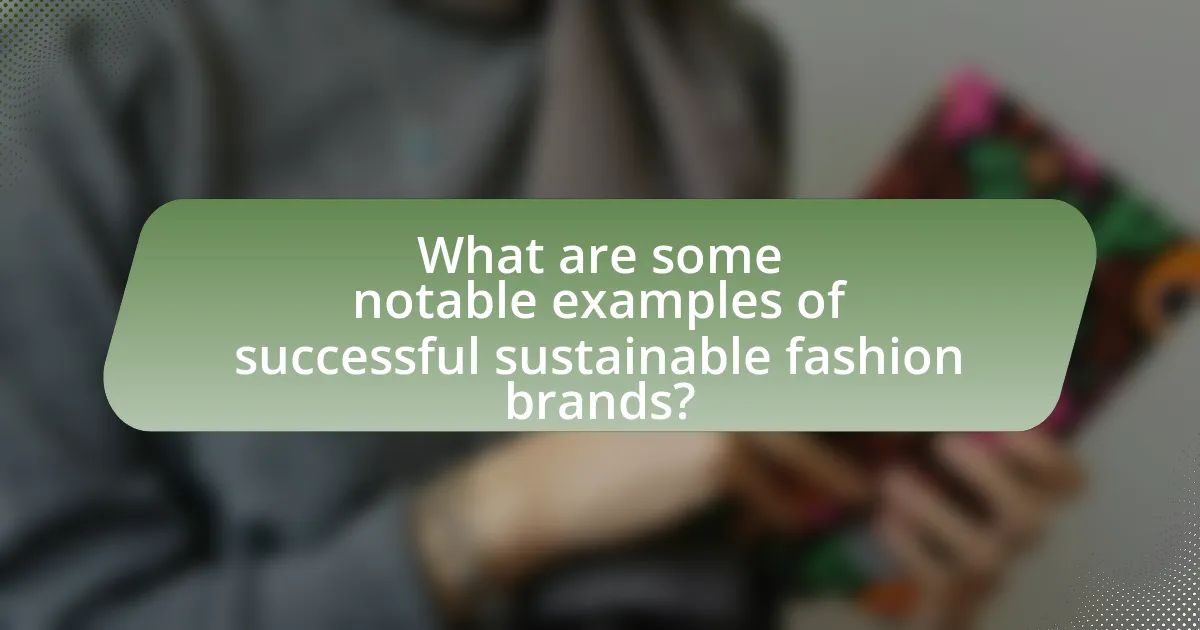 What are some notable examples of successful sustainable fashion brands?