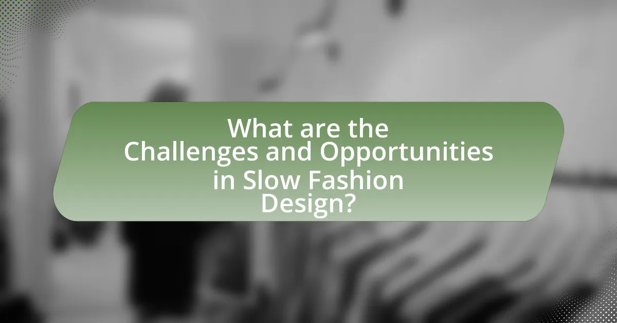 What are the Challenges and Opportunities in Slow Fashion Design?