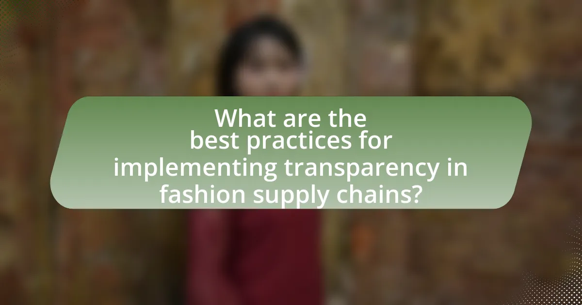 What are the best practices for implementing transparency in fashion supply chains?