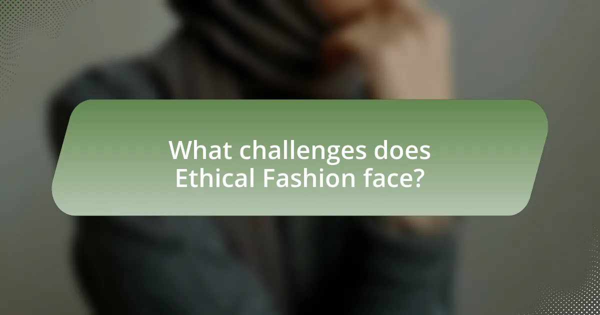 What challenges does Ethical Fashion face?