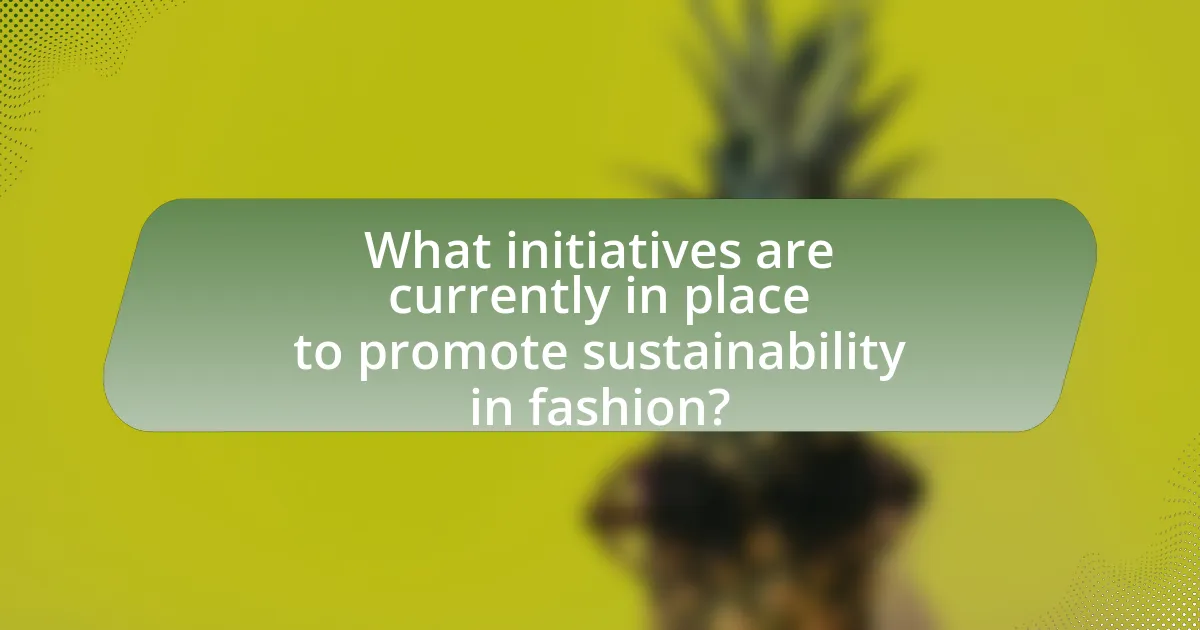 What initiatives are currently in place to promote sustainability in fashion?