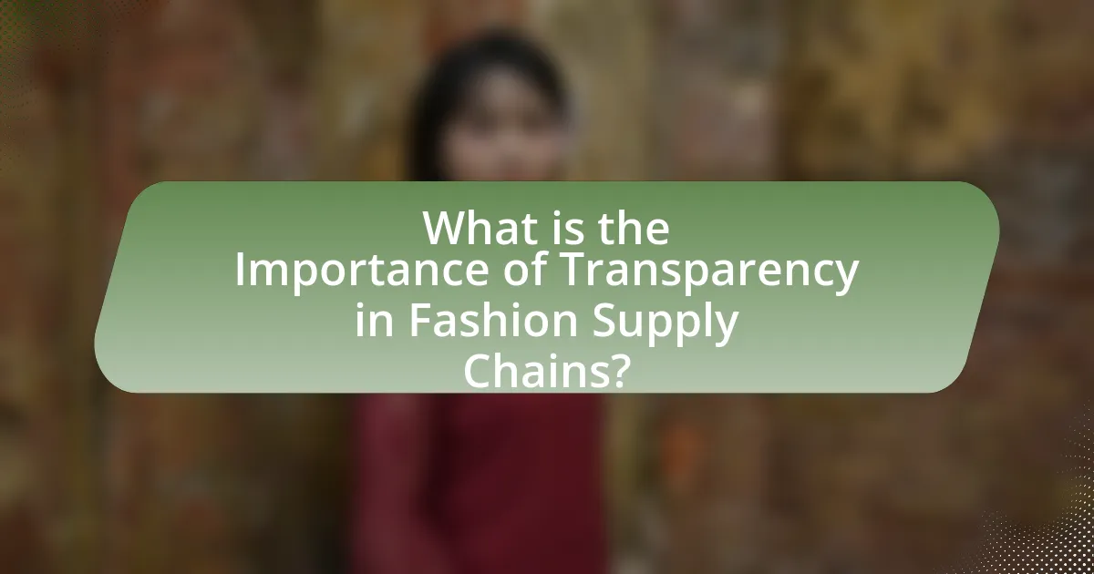 What is the Importance of Transparency in Fashion Supply Chains?